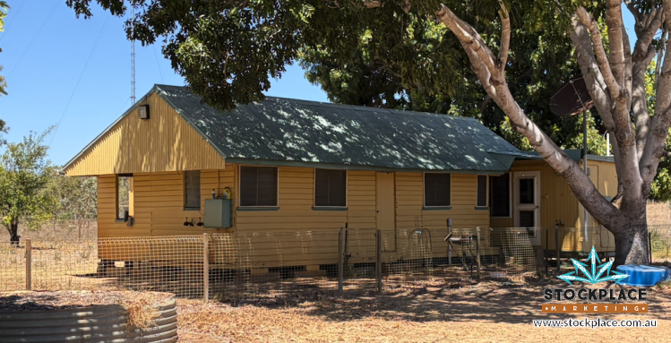 Strathelen & Rellum Park , Torrens Creek Auction by Farmbuy.com - image 39