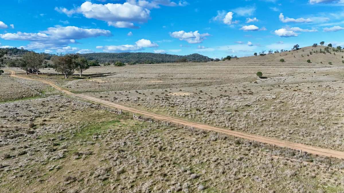 996 Whitlow Road, BINGARA For Sale by Farmbuy.com - image 11