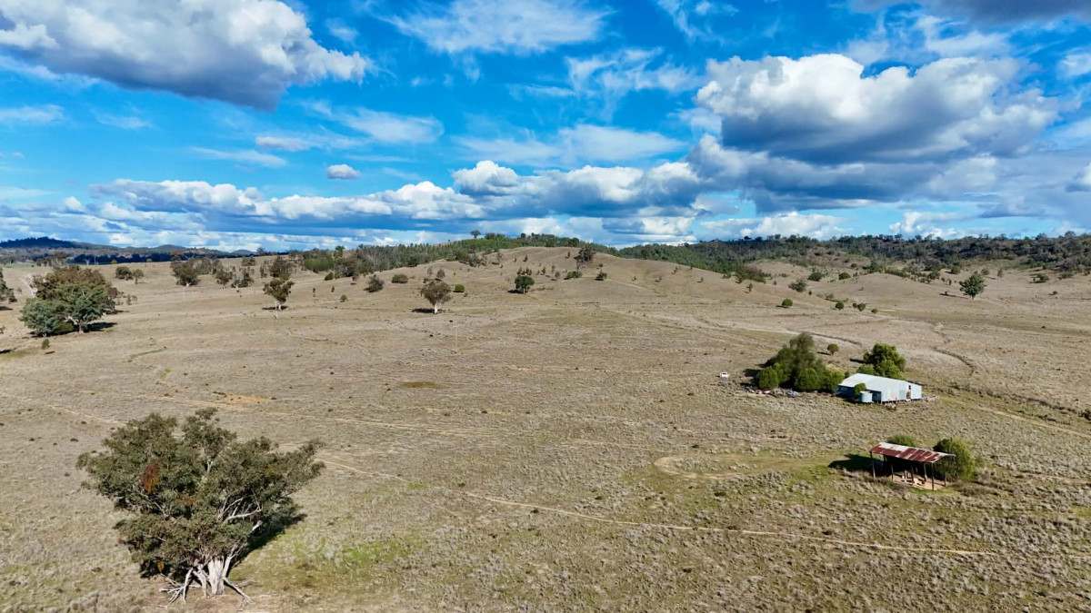 996 Whitlow Road, BINGARA For Sale by Farmbuy.com - image 5