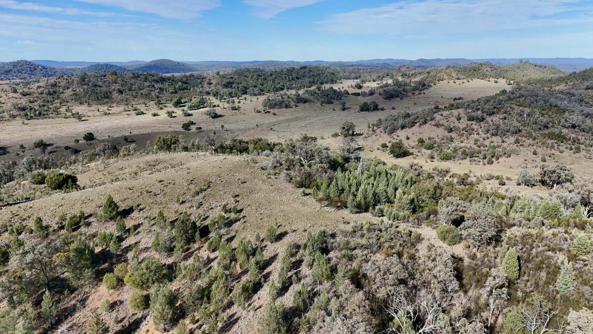 996 Whitlow Road, BINGARA For Sale by Farmbuy.com - image 12