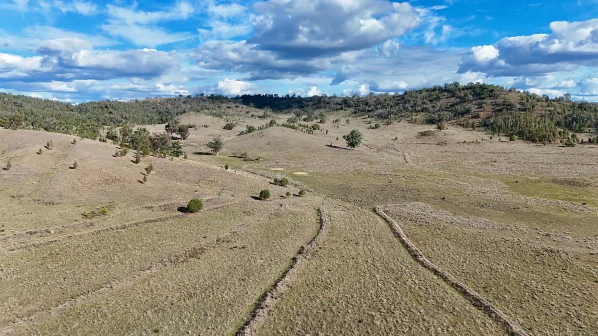 996 Whitlow Road, BINGARA For Sale by Farmbuy.com - image 10