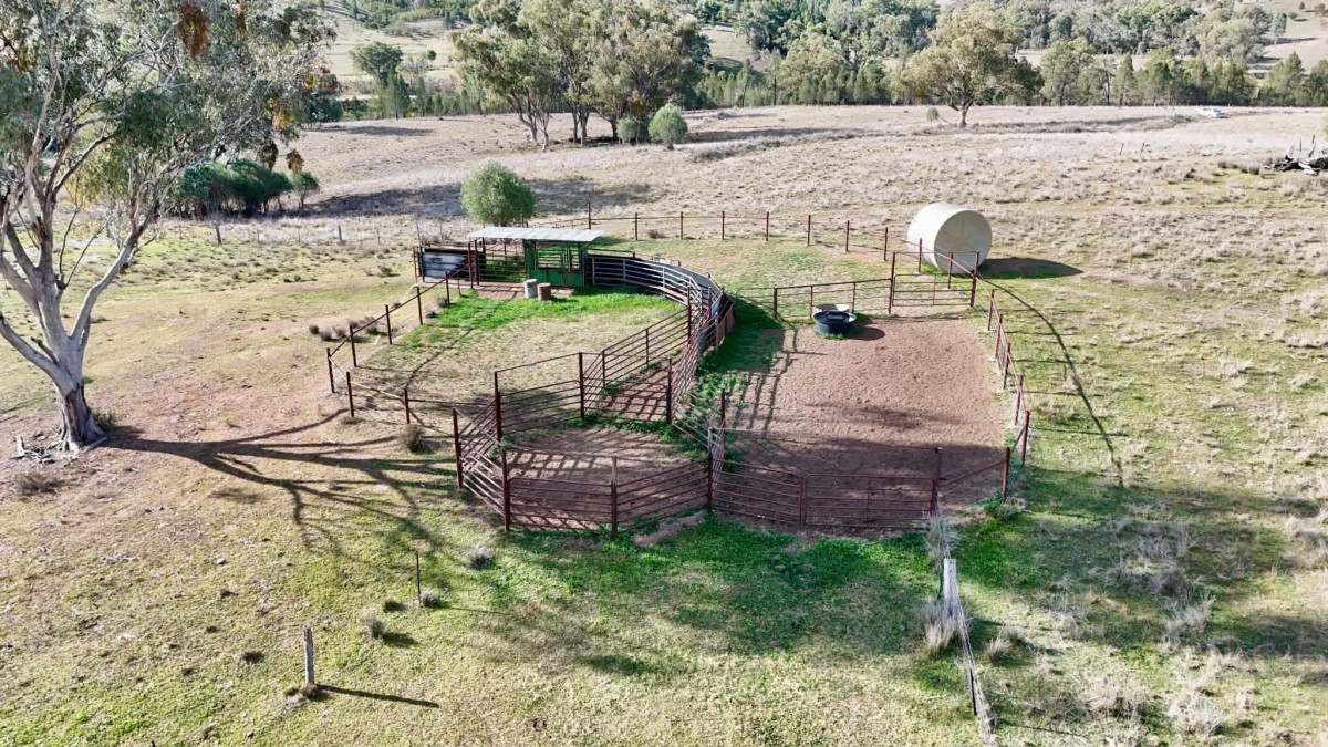 996 Whitlow Road, BINGARA For Sale by Farmbuy.com - image 3