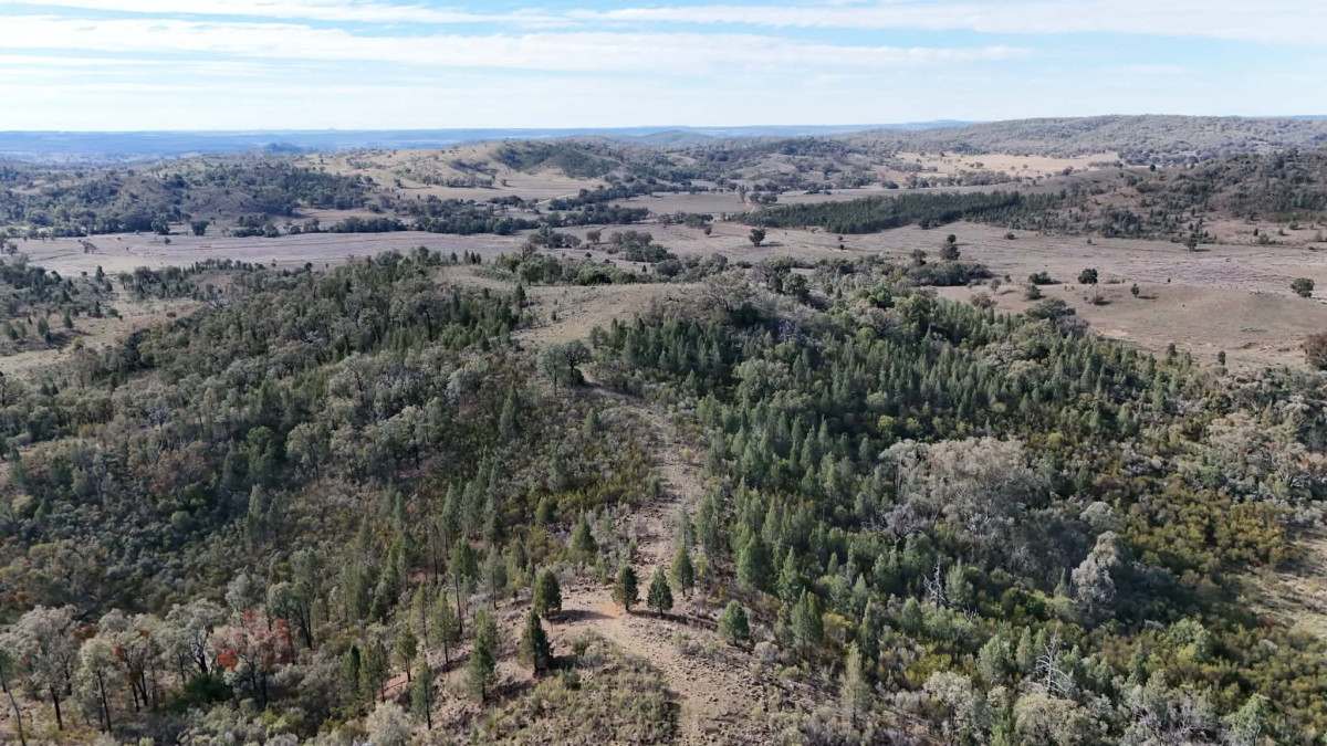 996 Whitlow Road, BINGARA For Sale by Farmbuy.com - image 9