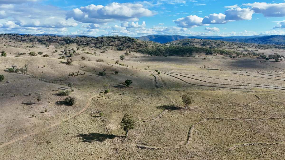 996 Whitlow Road, BINGARA For Sale by Farmbuy.com - image 6
