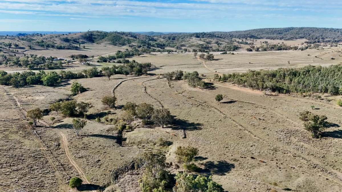 996 Whitlow Road, BINGARA For Sale by Farmbuy.com - image 8