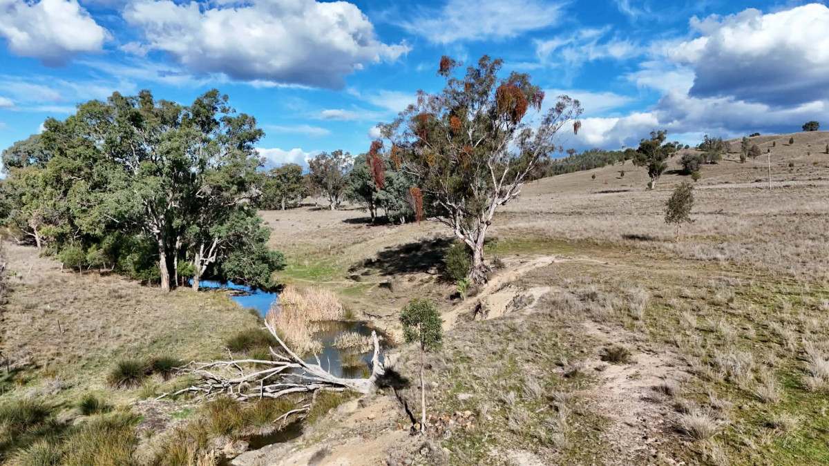996 Whitlow Road, BINGARA For Sale by Farmbuy.com - image 2