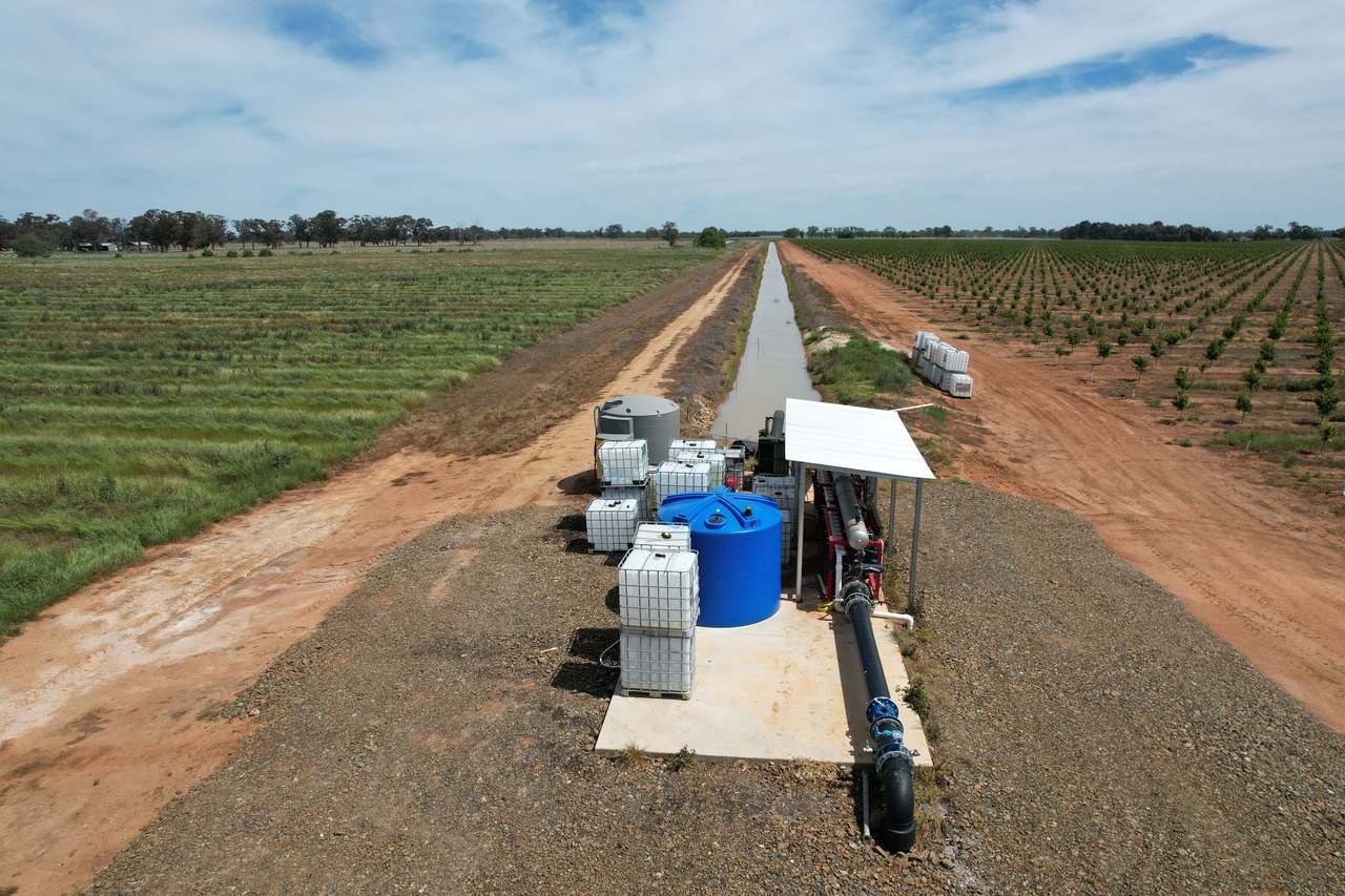 Yalca For Sale by Farmbuy.com - image 7