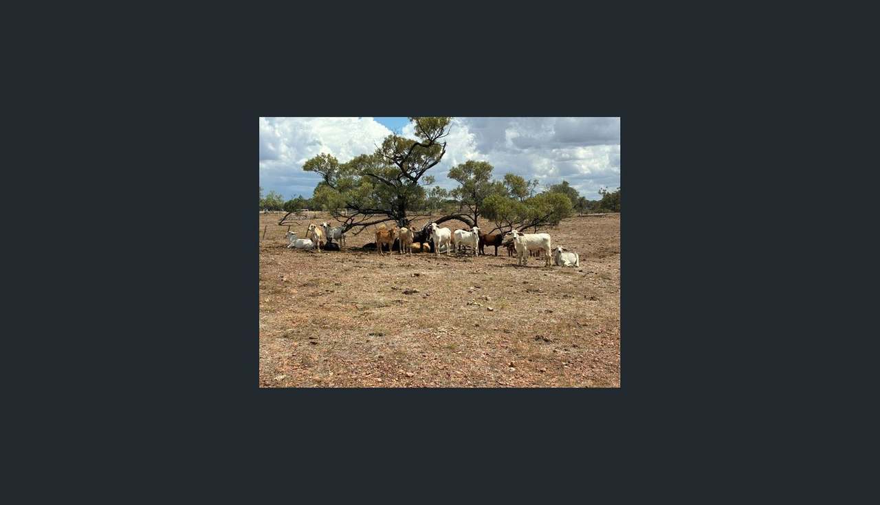 721 Baratria Road, Longreach For Sale by Farmbuy.com - image 7