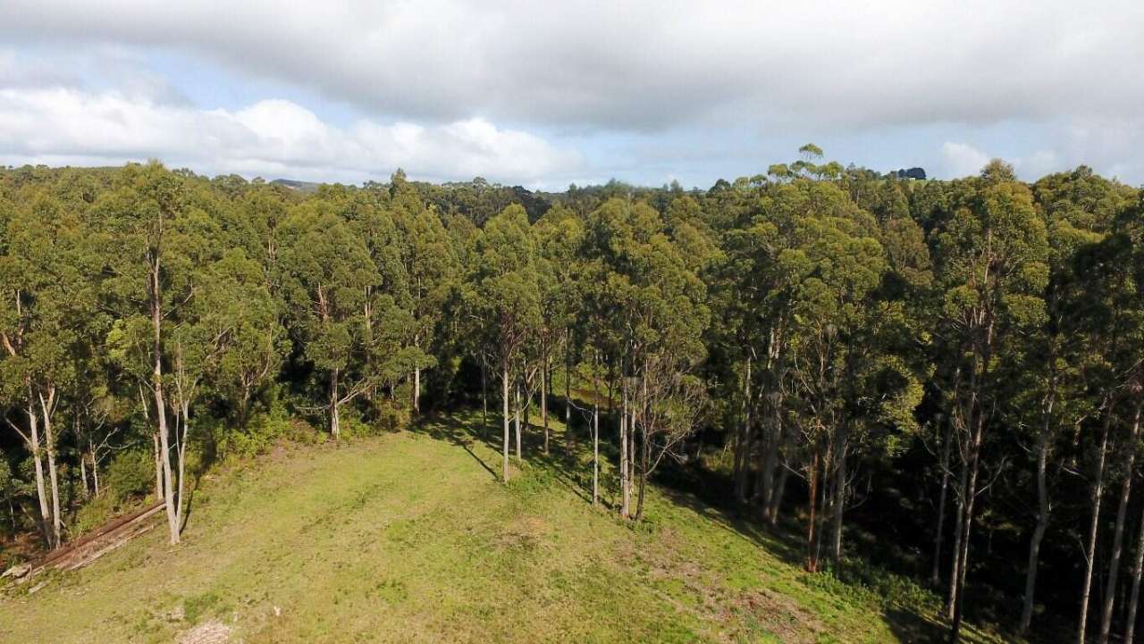 Bush Block with Creek through the Center 2.467Ha Farm Buy