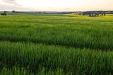 Farmbuy.com
