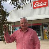 Peter Robertson - Elders Real Estate Melbourne