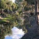 Shane McLoughlan - Elders Real Estate Wycheproof