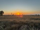 Ballaroo  For Sale by JLL Agribusiness