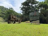 39 Upper Daintree Road, Stewart Creek Valley Expressions of Interest by Prophurst Livestock & Rural Property Agents