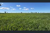 3847 Yarrandale Road, Hermidale For Sale by Trangie Livestock & Property