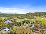 250 Newby Road, Bondoola For Sale by Professionals Emu Park