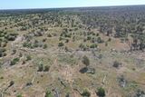 7040 Woolerina Road, Bollon Expressions of Interest by JLL | Devine Rural