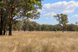 “Springvale”, Willows Gemfields For Sale by RBV Rural Pty Ltd
