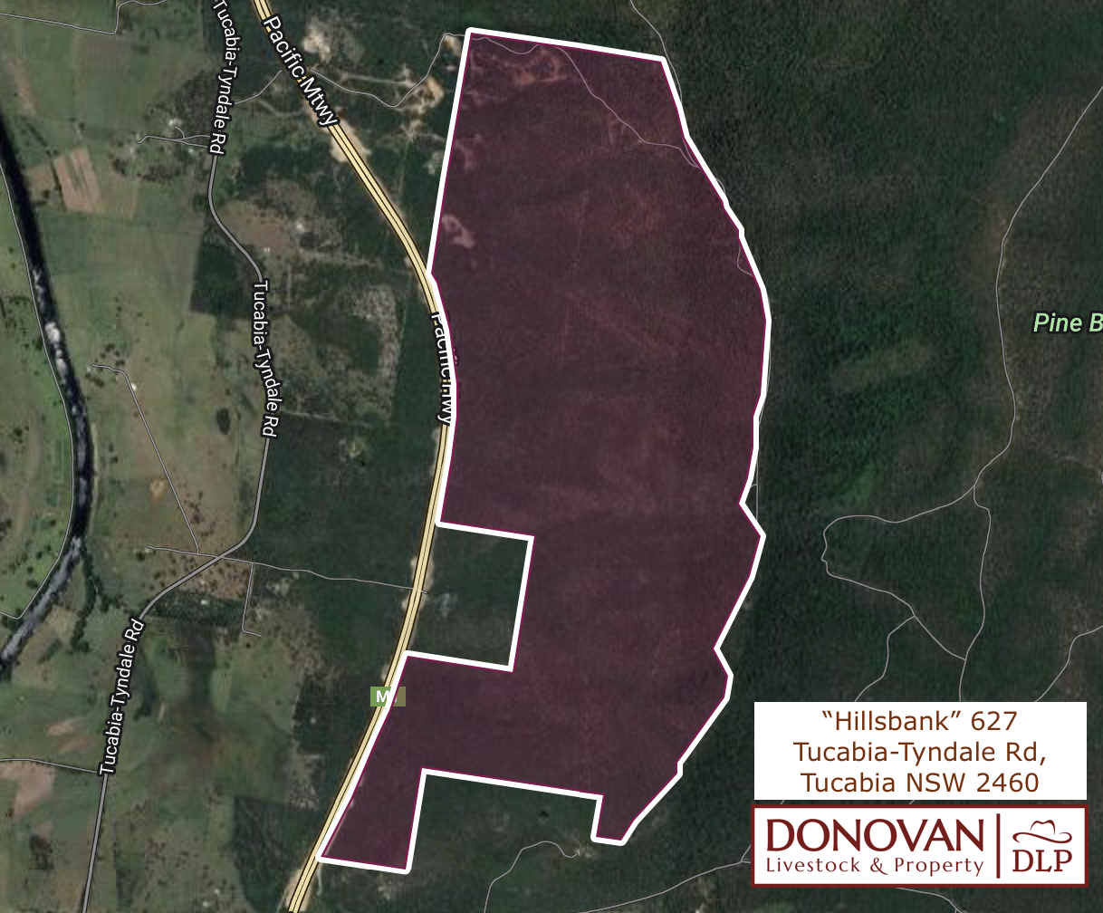 627 Tucabia-Tyndale Road , Tucabia For Sale by Farmbuy.com - floorplan 1