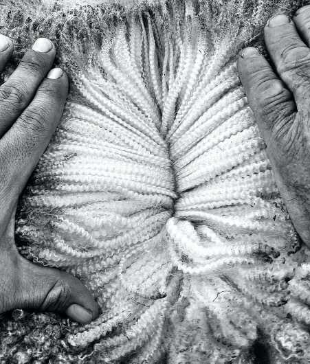 Ridgway Advance Poll Merino - image 5