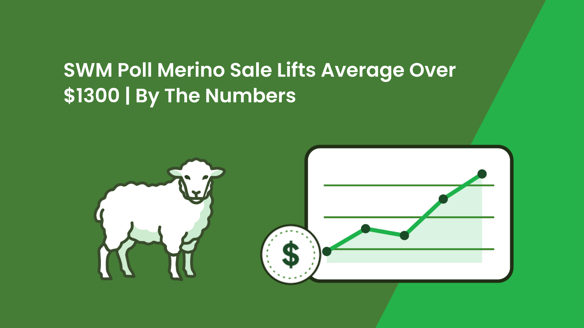 SWM Poll Merino Sale Lifts Average Over $1300 | Farmbuy Livestock