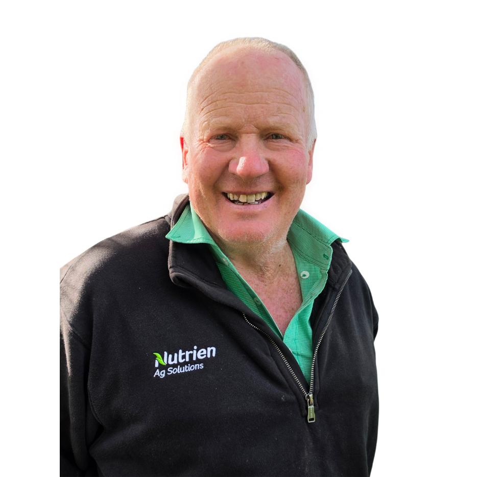 Andrew Grant