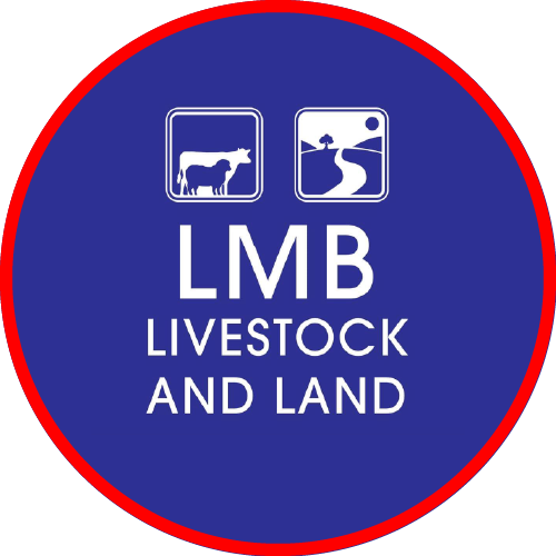 Bernie Grant