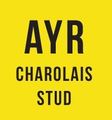 AYR Charolais Stud Logo
