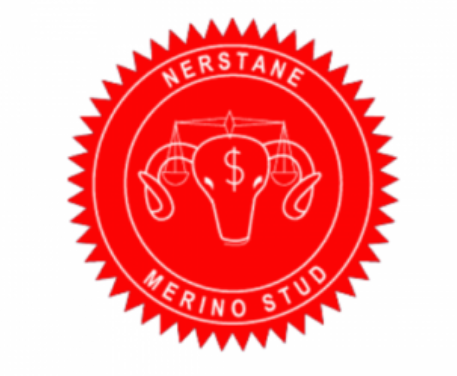 Nerstane Merino Stud Logo