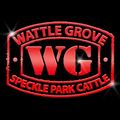 Wattle Grove Speckle Park Logo