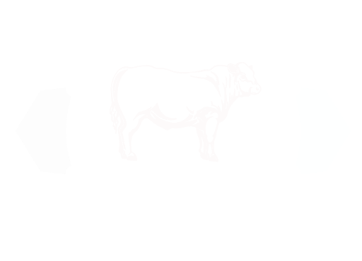 DSK Angus Logo