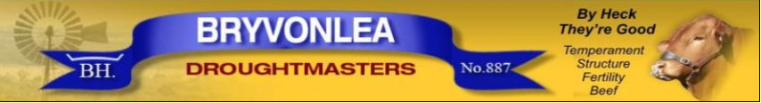 Bryvonlea Droughtmaster Stud Logo