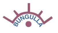Bungulla Merinos Logo
