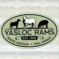 Yasloc Poll Dorset and White Suffolk Logo