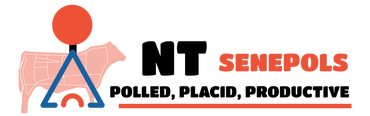 Namoona Trig Senepols Logo