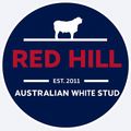 Red Hill Australian Whites Logo