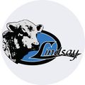 Lindsay Murray Grey Stud Logo