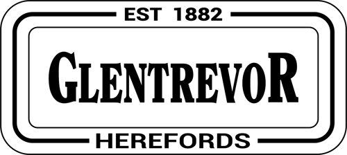 Glentrevor Herefords Logo