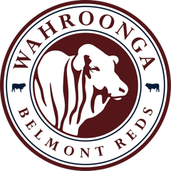 Wahroonga Belmont Reds Logo