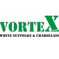 Vortex Charollais Stud Logo