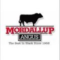 Mordallup Angus Stud Logo