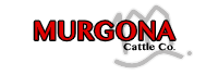 Murgona Cattle Co Logo