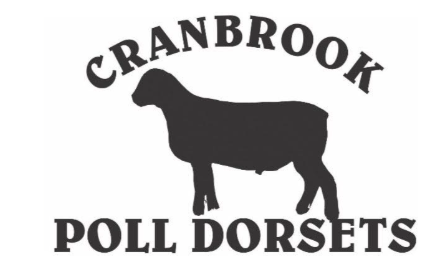 Cranbrook Poll Dorset Stud Logo