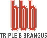 Triple B Brangus Logo
