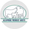 Glanmire Murray Greys Logo