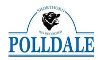 Polldale Shorthorns Logo