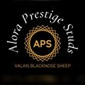 Alora Prestige Valais Blacknose Logo