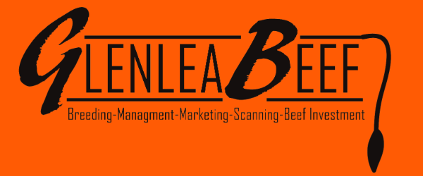 Glenlea Beef Logo