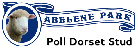 Abalene Park Poll Dorset Logo