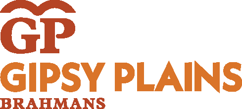 Gipsy Plains Brahmans Logo